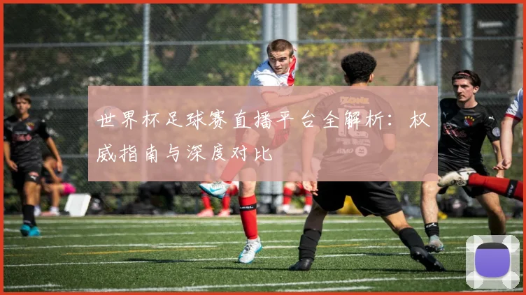 世界杯足球赛直播平台全解析：权威指南与深度对比
