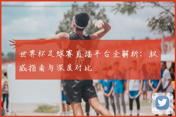 世界杯足球赛直播平台全解析：权威指南与深度对比